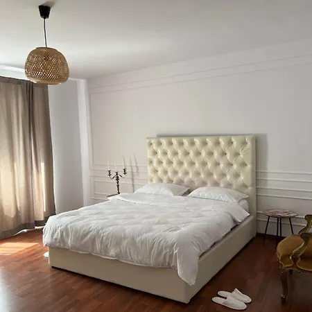 Hidden Gem In The Center Of The City Apartment